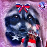 america-raccoon-cupcakes-4th-yessir-walmart-face-coons_14388712738_o