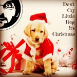 dont-cry-little-dog-its-christmas_23850763132_o