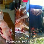 parts-123-more-to-come-pig-roast-delicious-clairean1-twofeetoncenter-leidio-jwkleinschmidt_8665942727_o